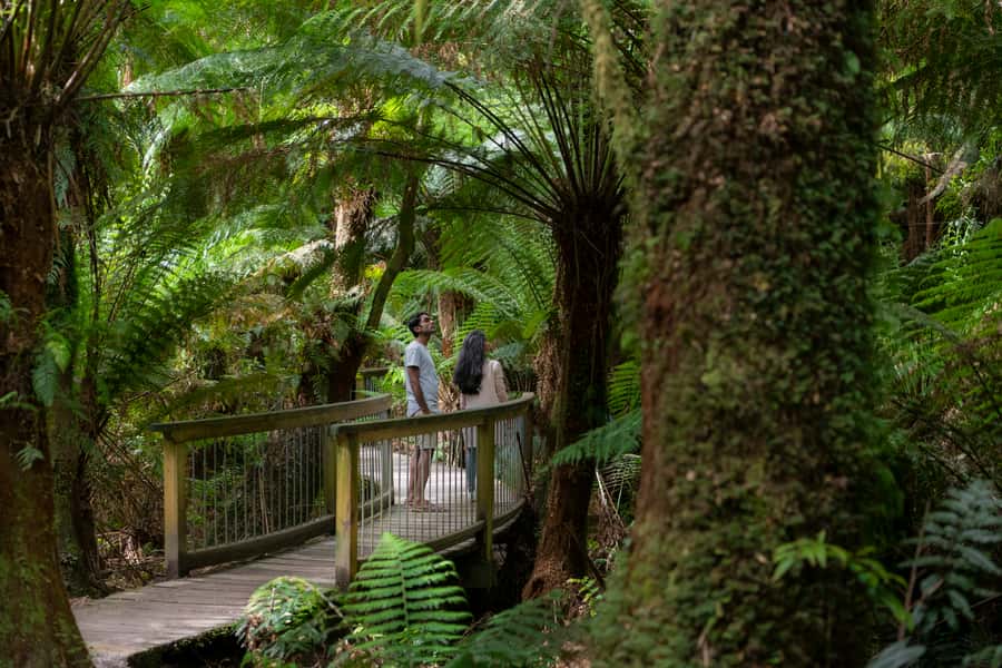 Adelaide to Melbourne: 3-Day Ultimate Overland Journey - FAQ
