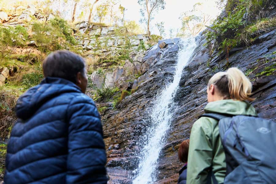 Adelaide to Melbourne: 3-Day Ultimate Overland Journey - Who should book this trip?