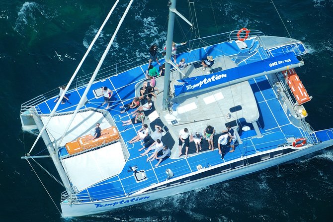 Adelaide Twilight Cruise from Glenelg - The Included Drink and Onboard Atmosphere