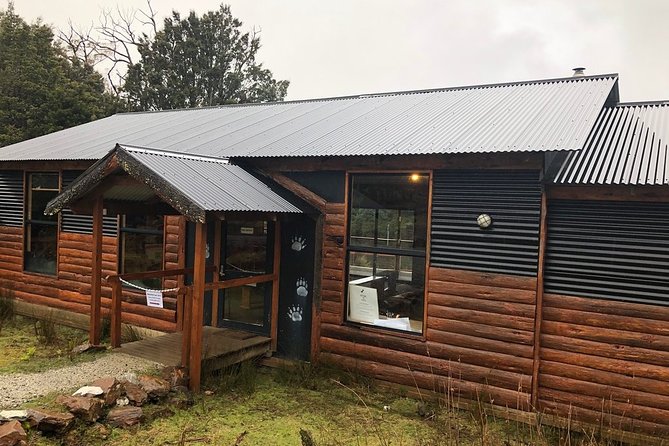 After Dark Tasmanian Devil Feeding Tour at Cradle Mountain - The keepers make the difference