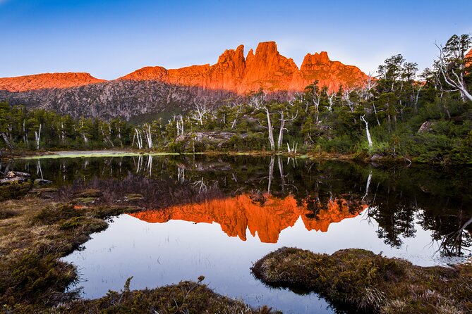 After Dark Tasmanian Devil Feeding Tour at Cradle Mountain - Group size and getting a clear view