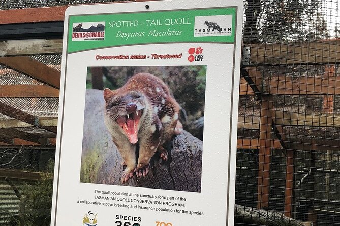 After Dark Tasmanian Devil Feeding Tour at Cradle Mountain - Who should book this tour?