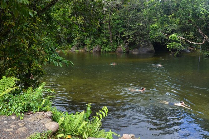 Afternoon & Evening Tour of Paronella Park - Simon’s guiding is a major part of the value