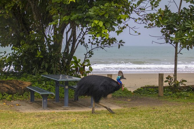 Afternoon & Evening Tour of Paronella Park - Paronella Park gives you four hours to look around