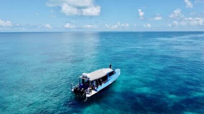 Agnes/1770: Southern Great Barrier Reef Snorkelling Day Trip
