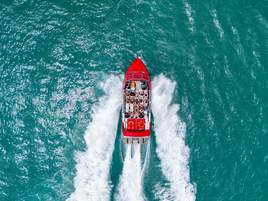 Airlie Beach: 30-Minute Jet Boat Ride - What the 30-minute ride is really like