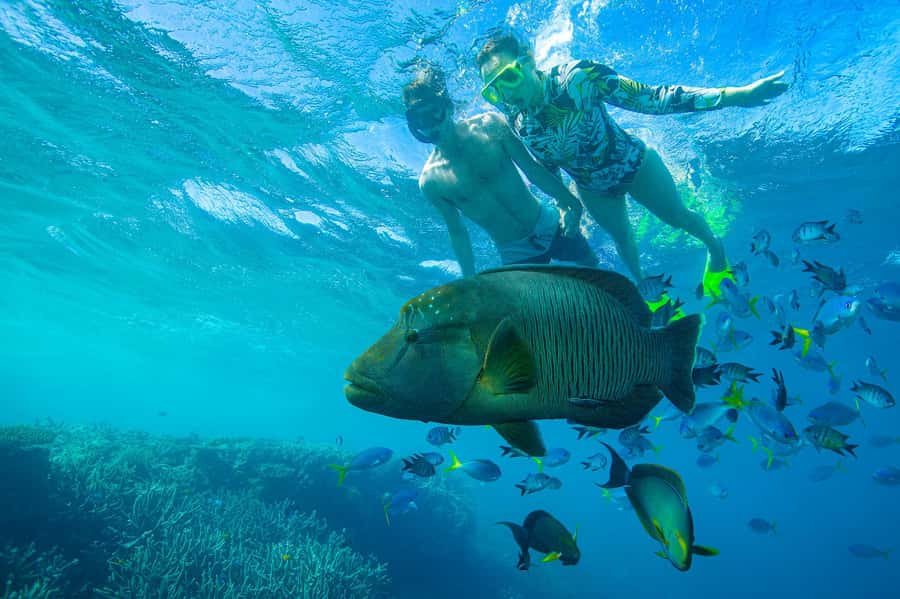 Airlie Beach: Adults-Only Whitehaven Beach Sailing Tour - Whitehaven Beach is beautiful, but time is limited