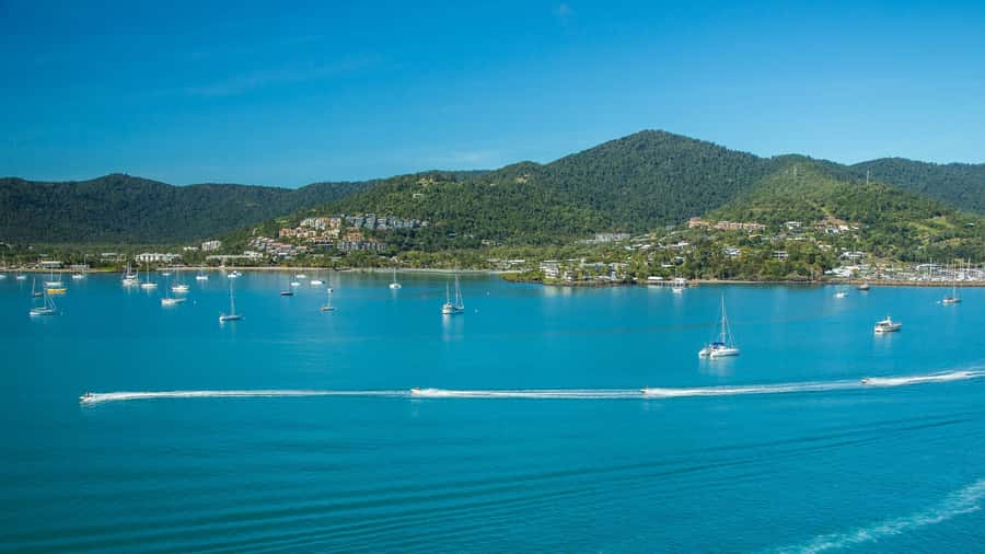 Airlie Beach: Airlie Adventure Jet Ski Tour - Airlie Adventure Jet Ski Tour at a glance