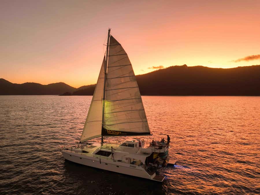 Airlie Beach: BYOB Sunset Sail in Style Catamaran Cruise - A tropical welcome drink and room to settle in