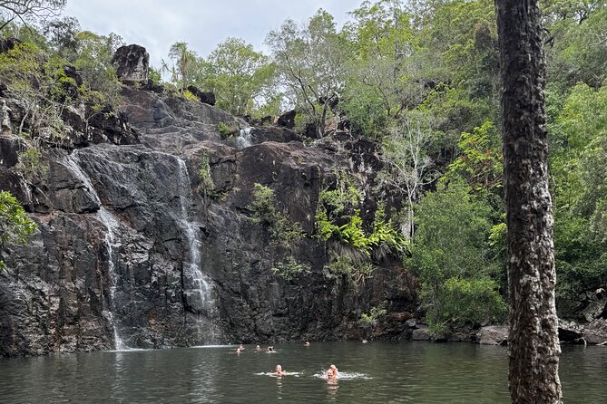 Airlie Beach: Cedar Creek Express (cruise ship friendly) - Morning tea, icy treats, and the ride home