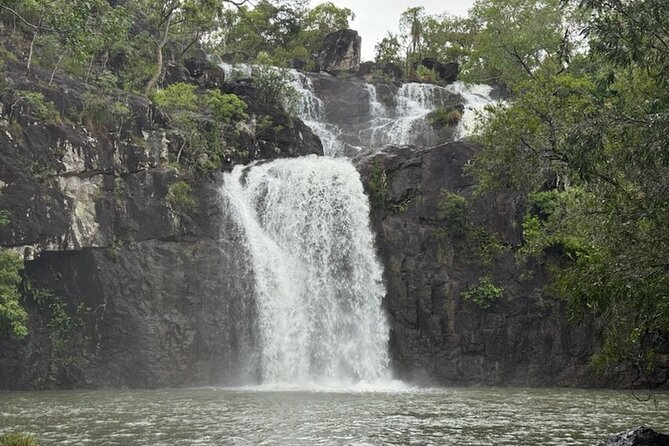 Airlie Beach: Cedar Creek Express (cruise ship friendly) - The 30-minute ride from Airlie Beach