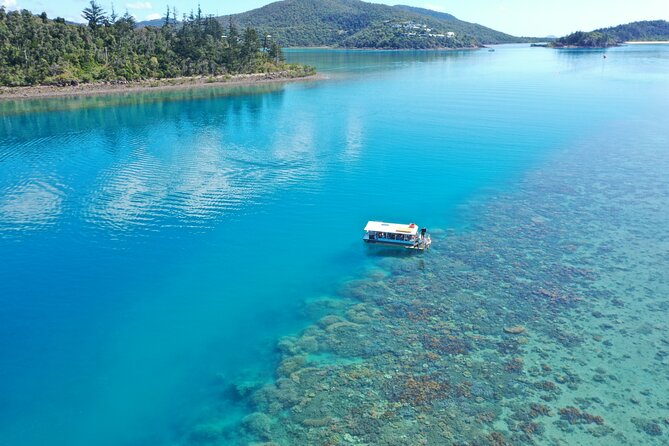 Airlie Beach: Glass-Bottom Boat Tour - Key points to know before you go