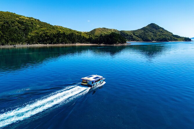 Airlie Beach: Glass-Bottom Boat Tour - Why the commentary matters