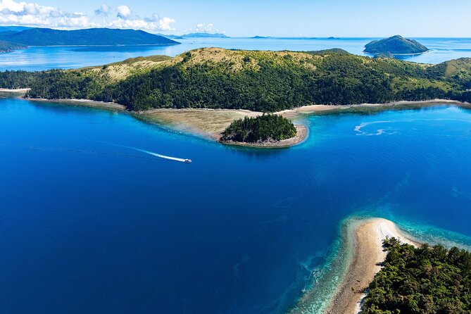 Airlie Beach: Glass-Bottom Boat Tour - Is $63 good value?