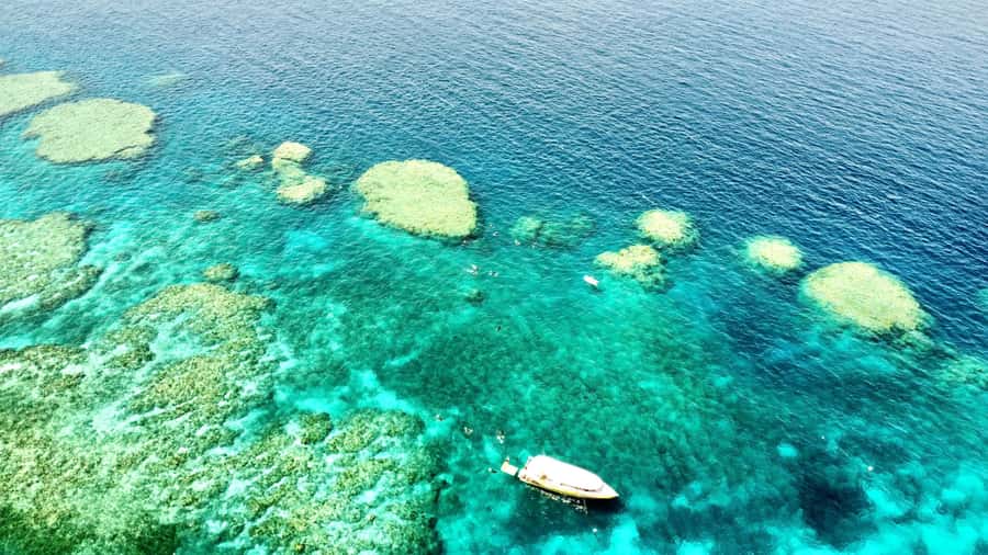Airlie Beach: Great Barrier Reef & Whitehaven Beach Tour - One boat, three big Whitsunday sights