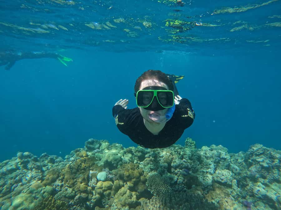 Airlie Beach: Great Barrier Reef & Whitehaven Beach Tour - Bait Reef Lagoon is a real snorkel, not a pool session