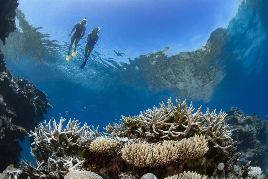 Airlie Beach: Great Barrier Reef & Whitehaven Beach Tour - Weather can change the reef without ruining the day