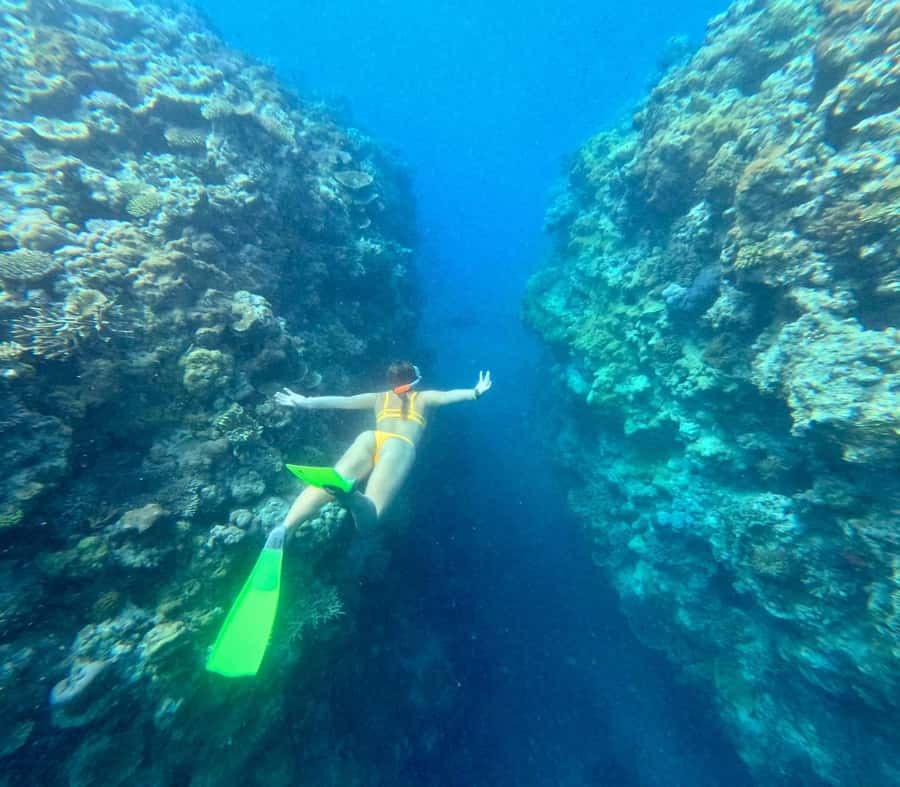 Airlie Beach: Great Barrier Reef & Whitehaven Beach Tour - Who will enjoy this fast-paced day