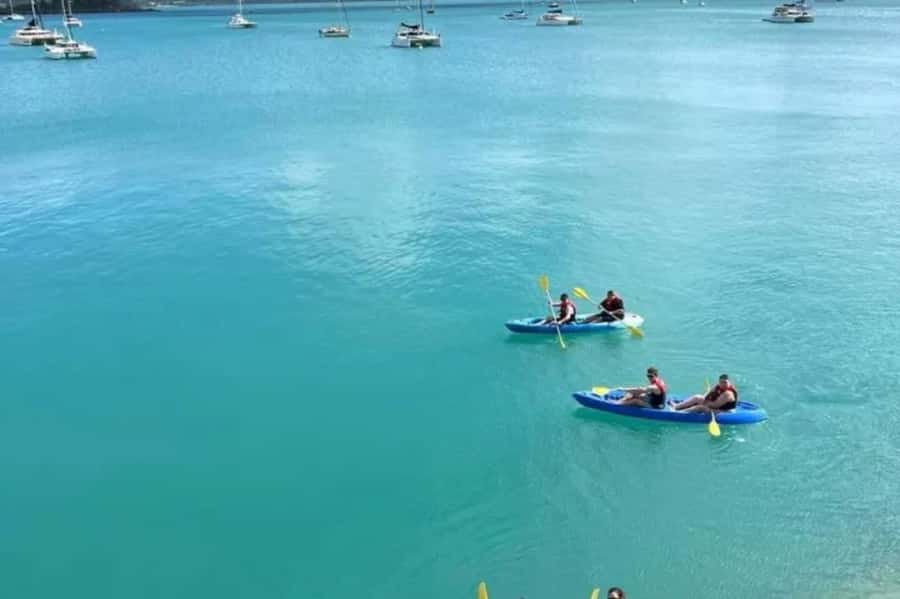 Airlie Beach: Half Day Turtle Tour Sea Kayaking Adventure - Starting from Shingley Beach