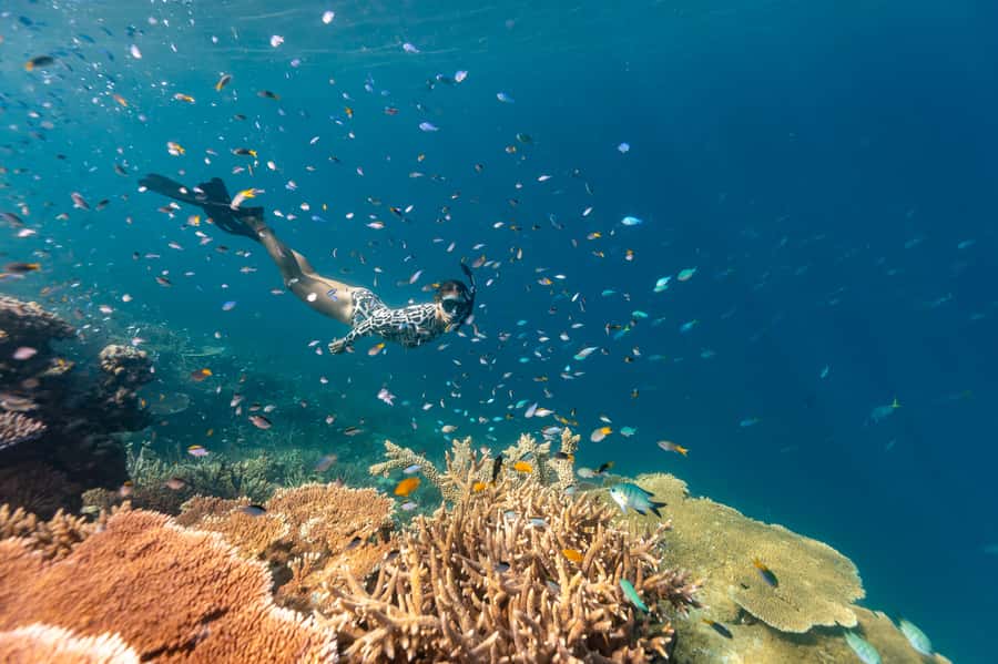 Airlie Beach: Outer Great Barrier Reef Snorkeling Day Trip - What happens at the snorkelling sites