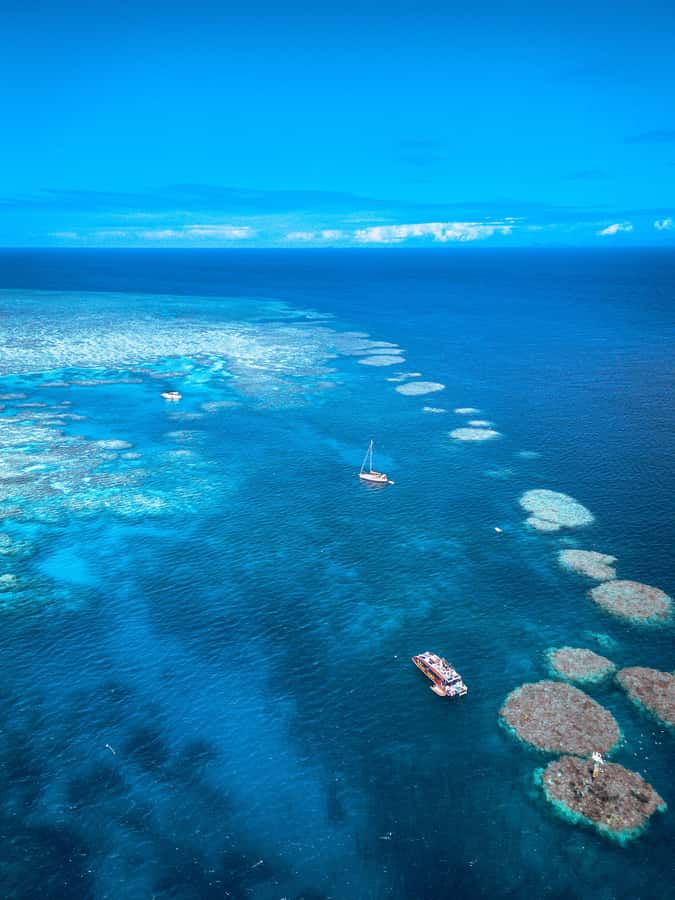 Airlie Beach: Outer Great Barrier Reef Snorkeling Day Trip - Lunch, snacks, and the rhythm of the day