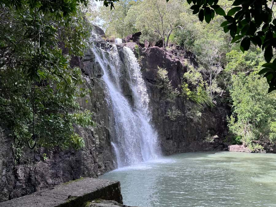 Airlie Beach: Roundtrip Tour to Cedar Creek. - Swimming beneath the falls