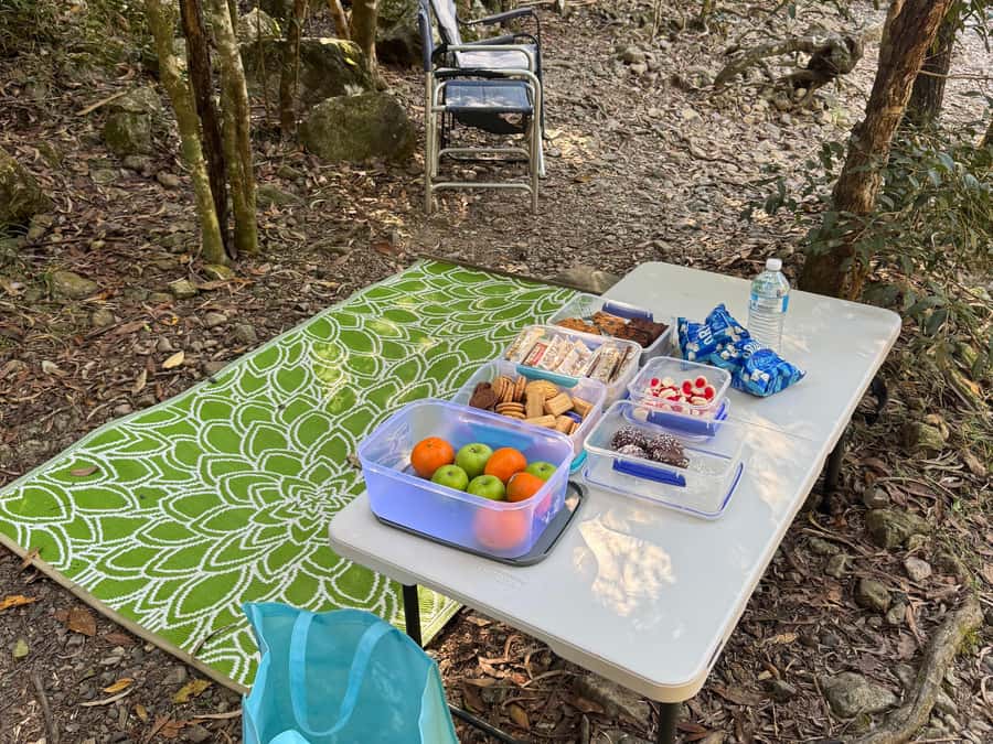 Airlie Beach: Roundtrip Tour to Cedar Creek. - Morning tea, afternoon tea, and the frozen finish