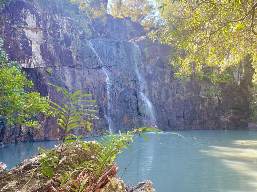 Airlie Beach: Roundtrip Tour to Cedar Creek. - The guides are a major part of the value
