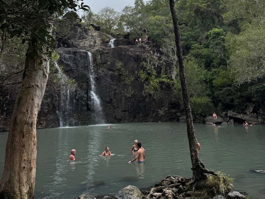 Airlie Beach: Roundtrip Tour to Cedar Creek. - Timing your visit around the seasons