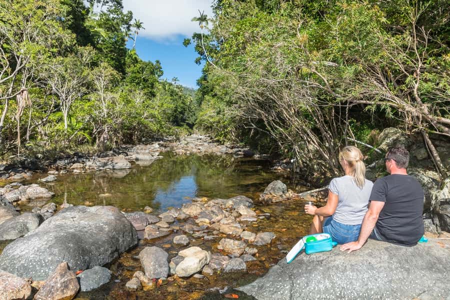 Airlie Beach: Segway Rainforest Discovery Tour - Riding the 9.4 km Conway National Park route
