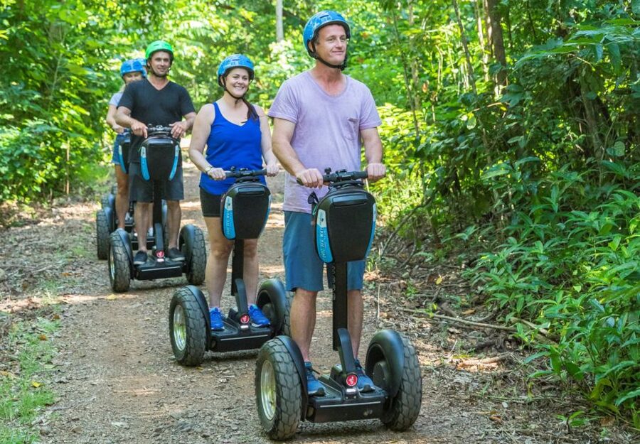 Airlie Beach: Segway Rainforest Discovery Tour - The old fig tree and rainforest life