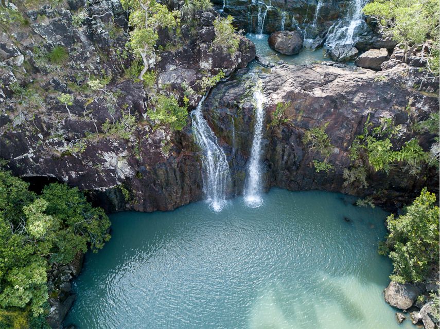 Airlie Beach: The Airlie Hopper Sightseeing Bus - What the guide adds to the day