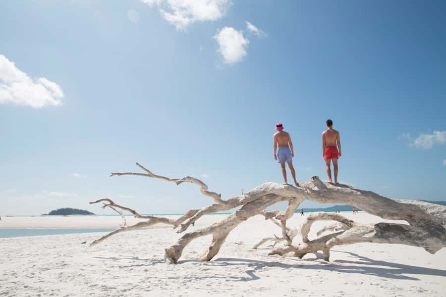 Airlie Beach: Whitehaven Beach Cruise and Hill Inlet - Whitehaven Beach, swimming, and beach time
