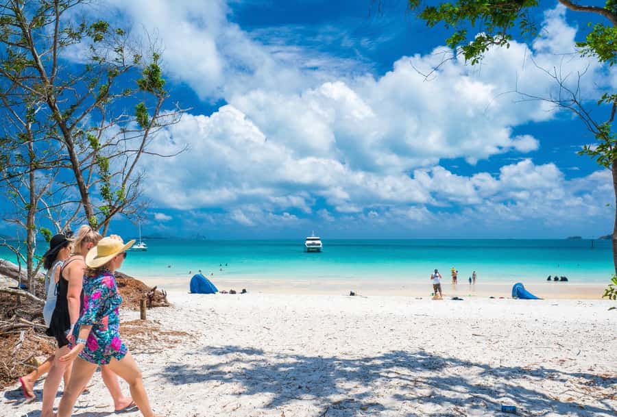 Airlie Beach: Whitehaven Beach Cruise and Hill Inlet - The cruise from Port of Airlie to Whitehaven
