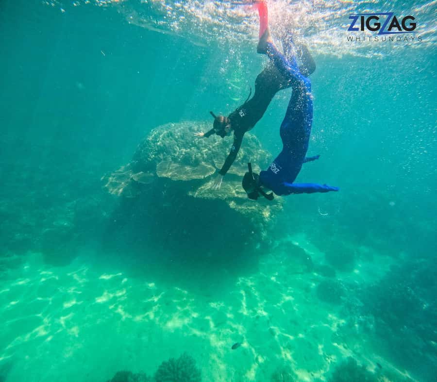 Airlie Beach: Whitehaven Beach Day Tour with Snorkel Option - Leaving Coral Sea Marina at 8:20 am