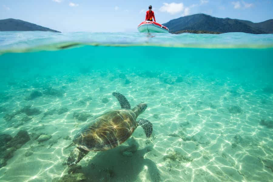 Airlie Beach: Whitehaven Full-Day Eco-Cruise with Buffet - Why this eight-hour Whitsunday day works so well