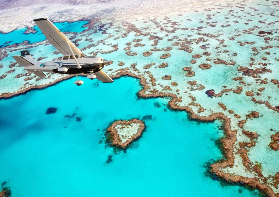 Airlie Beach: Whitsunday Islands & Heart Reef Scenic Flight - Key points to know before you fly
