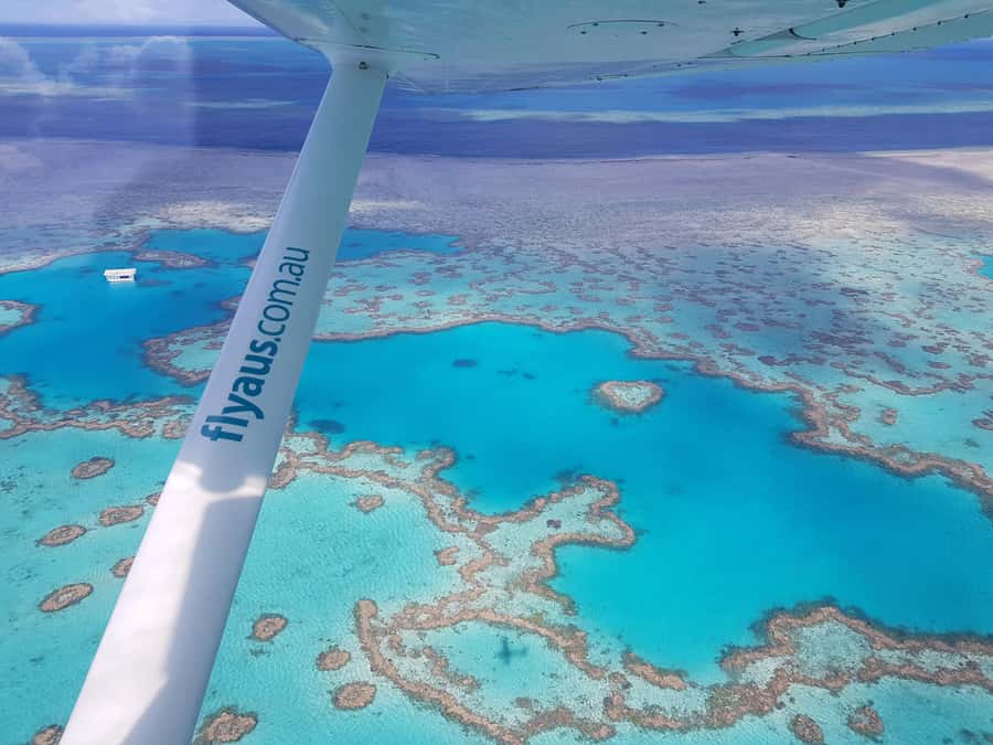 Airlie Beach: Whitsunday Islands & Heart Reef Scenic Flight - The Great Barrier Reef from 15 minutes above