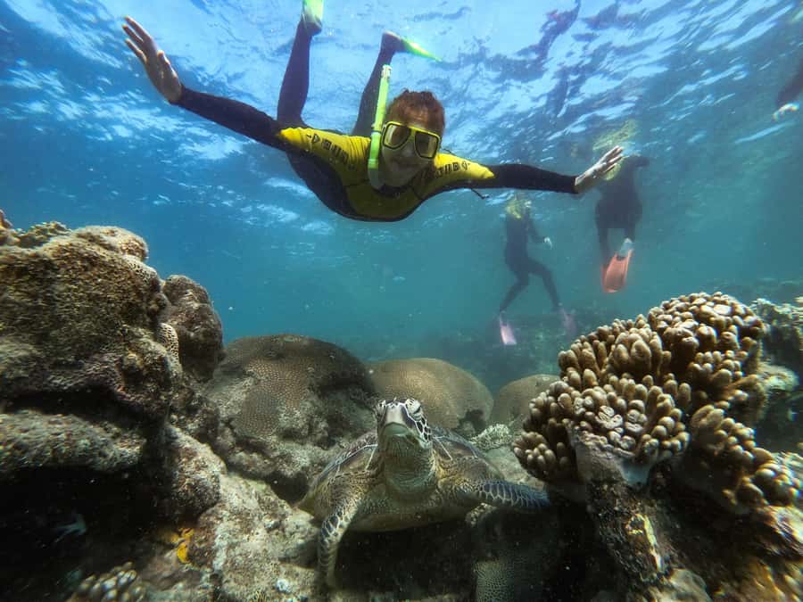 Airlie Beach: Whitsunday Islands Sailing, SUP & Snorkel Tour - Langford Island brings sand, kayaks, and more freedom