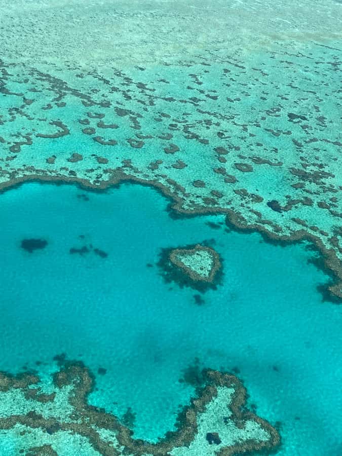 Airlie Beach: Whitsundays & Great Barrier Reef Scenic Flight - Who Will Enjoy It Most?