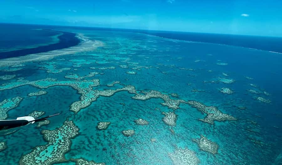 Airlie Beach: Whitsundays & Great Barrier Reef Scenic Flight - What to Bring and How to Plan the Day