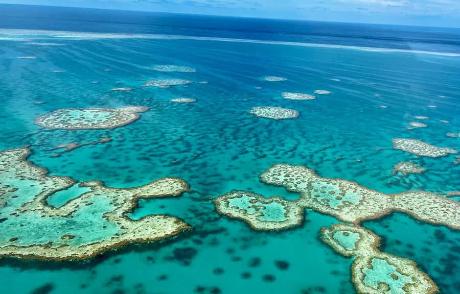 Airlie Beach: Whitsundays & Great Barrier Reef Scenic Flight - Boarding a Small Aircraft With a Window Seat