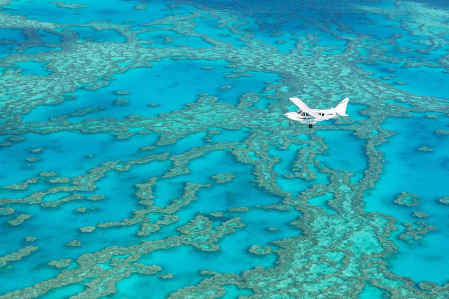 Airlie Beach: Whitsundays & Heart Reef Scenic Flight - Should you book the Heart Reef scenic flight?
