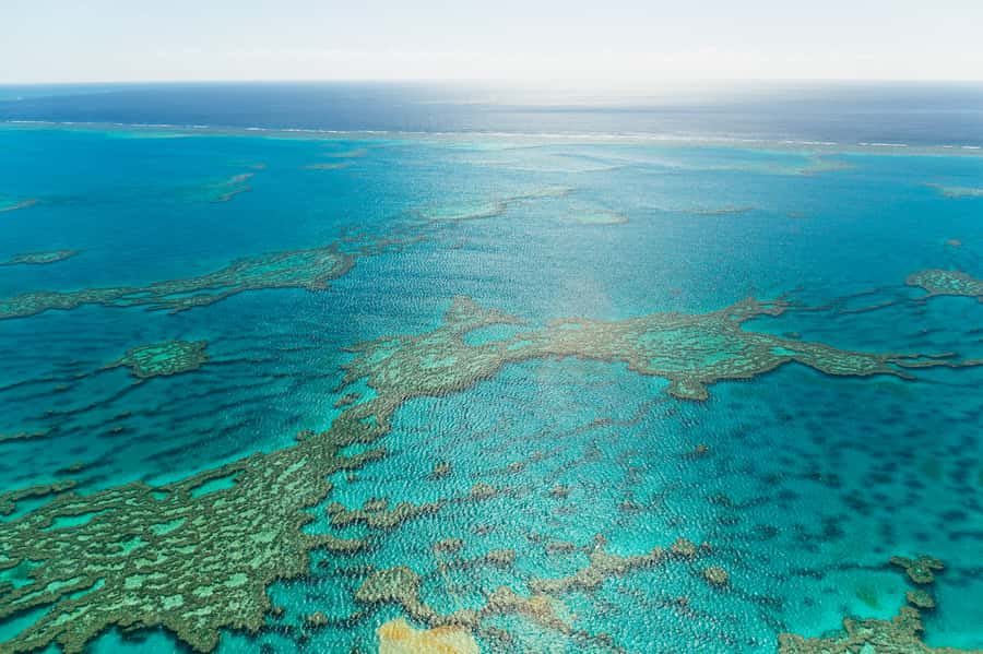 Airlie Beach: Whitsundays & Heart Reef Scenic Flight - Is $237 a fair price?