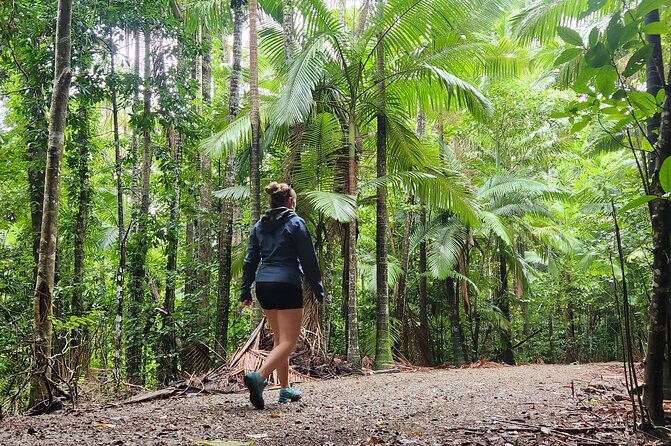 Airlie Waterfalls & Rainforest Bushwalk Eco Adventure - Conway National Park: a 90-minute rainforest walk