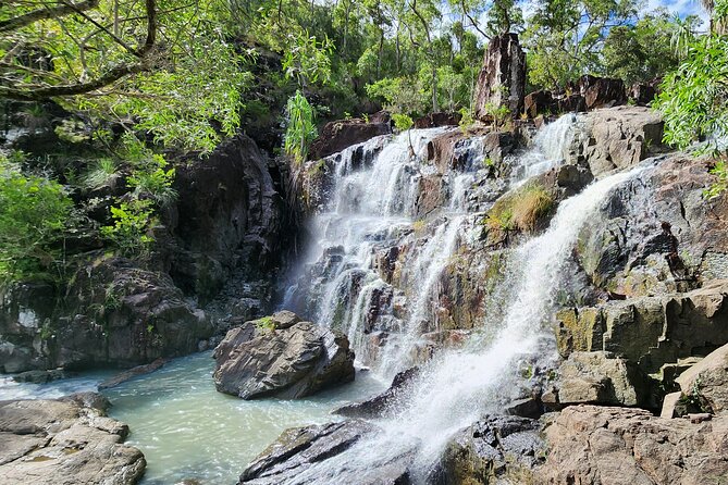 Airlie Waterfalls & Rainforest Bushwalk Eco Adventure - Guides who make the forest easier to read