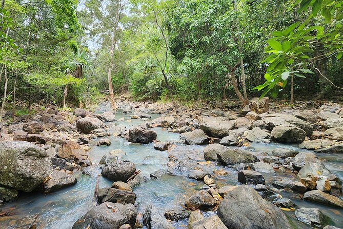 Airlie Waterfalls & Rainforest Bushwalk Eco Adventure - What the $85.56 price includes