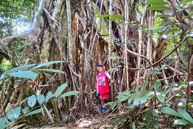 Airlie Waterfalls & Rainforest Bushwalk Eco Adventure - Who will enjoy this experience most