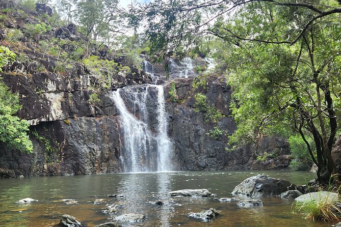 Airlie Waterfalls & Rainforest Bushwalk Eco Adventure - Weather, timing, and what to plan for