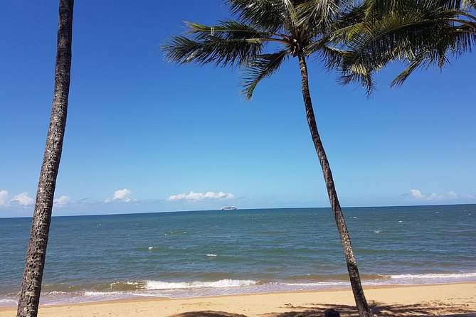 Airport Transfers between Cairns Airport and Palm Cove - What the 30-minute drive is like